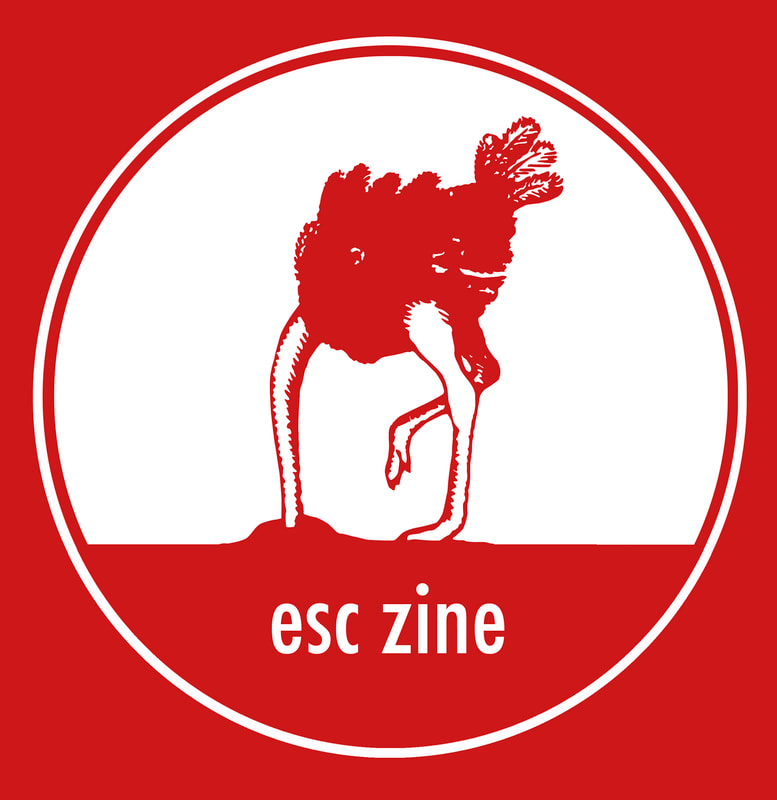Esc Zine - Eoin O Dowd Artist Curator Eight Gallery Art